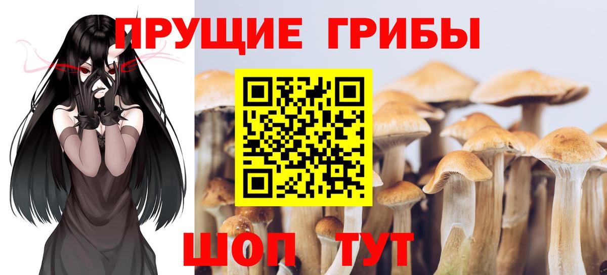 Галлюциногенные грибы GOLDEN TEACHER  Галлюциногенные грибы мухоморы  Дальнегорск  Вход с VPN 